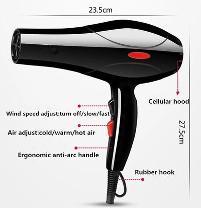 2200W Professional Hair Dryer